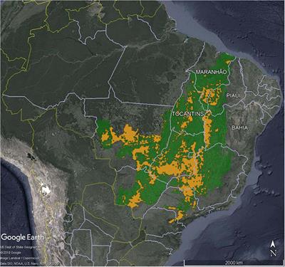 Commodity-Centric Landscape Governance as a Double-Edged Sword: The Case of Soy and the Cerrado Working Group in Brazil